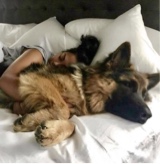 Guest_k1ttyshitt