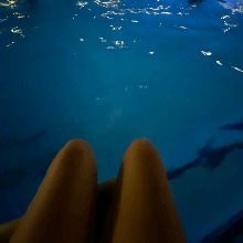 Guest_taylor983640