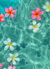 Guest_selana44