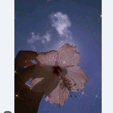 Guest_Elsa3036