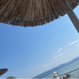 Guest_gialiscimore