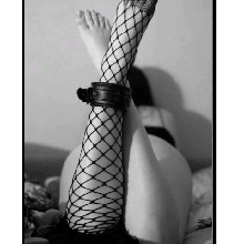 Guest_Lara443295