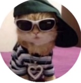 Guest_DATSTEE