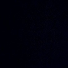 Guest_fuchsiafuzzywuzzad4a