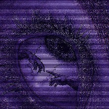 Guest_Mdot8091929