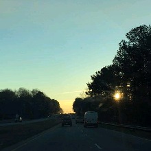 Guest_Samm244649