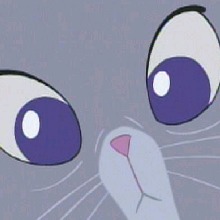 Guest_fuzzybunz