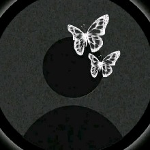 Guest_DanaLopez4