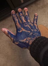 shai339976