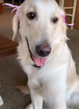 Guest_Rylee992189