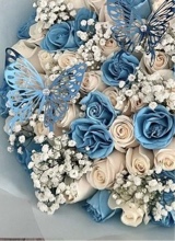 Guest_Aaliyah75272