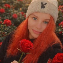 Rose603401