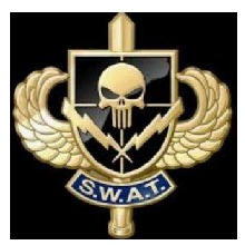 Swat99843