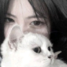 Guest_Mizu231248