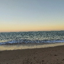 Guest_Megii7