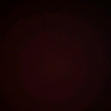Guest_Yaren926994