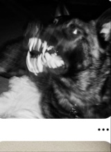 Guest_CallMeAOpp