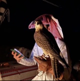 Guest_7LM9