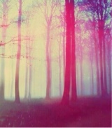 Guest_chrrylips