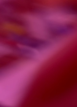 Guest_yonowwhatisupppplol