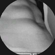 صورة الـavatar
