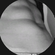 Guest_FILIPCAROK1