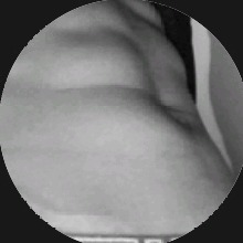 Guest_FILIPCAROK1