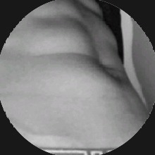 Guest_FILIPCAROK1