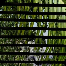 Guest_usuario013