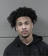 vloneshane