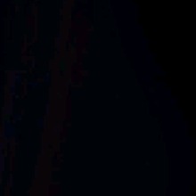 Guest_DuduFernandes