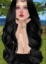 Guest_Ana33904