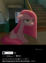 Guest_idk226806