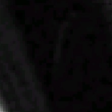 Guest_Enzo414873