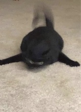 Guest_alondrahasthiclegs