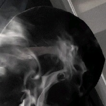 Guest_llopesxzzw