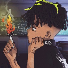 Guest_DomDaDon11