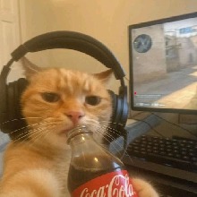 Guest_Cllaryce0
