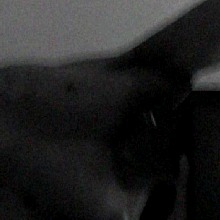 Guest_Vansh18