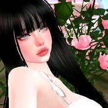 Guest_unusualdogwoodrocbf2