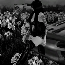 Guest_Raicheli