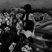 Guest_Raicheli