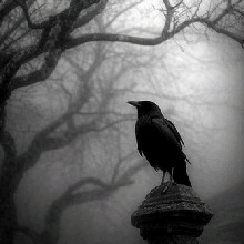 Guest_angelicap111