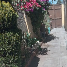 Guest_ArturoTellez