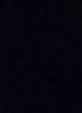 Guest_abraham01