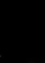 Guest_xSvg2