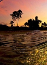 Guest_June256