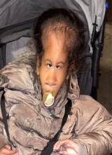 Hylez