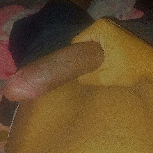 Guest_Geo153477