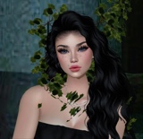 Emmy4646